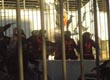 Represion en La Plata a docentes y estudiantes | Ministerio de Salud
